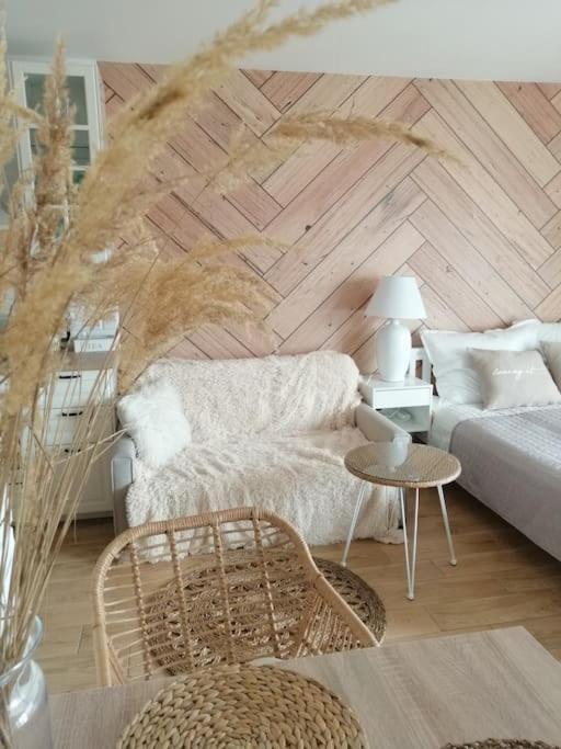 קולובז'ג Boho Apartament - Studio מראה חיצוני תמונה