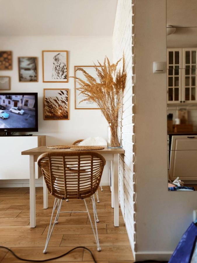 קולובז'ג Boho Apartament - Studio מראה חיצוני תמונה