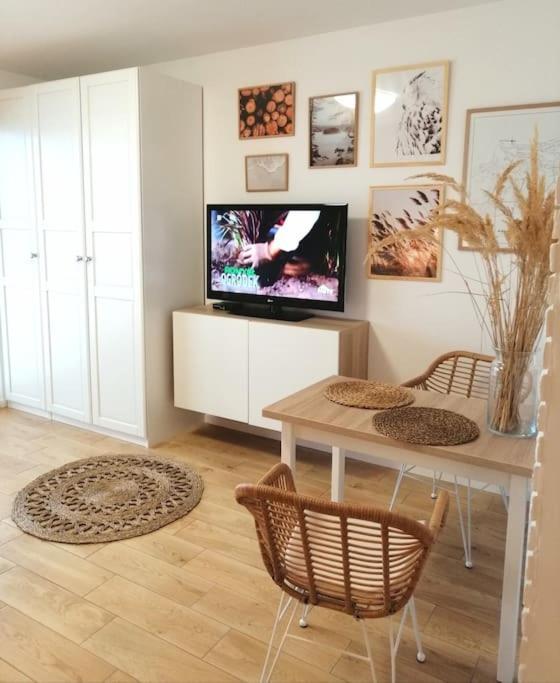 קולובז'ג Boho Apartament - Studio מראה חיצוני תמונה